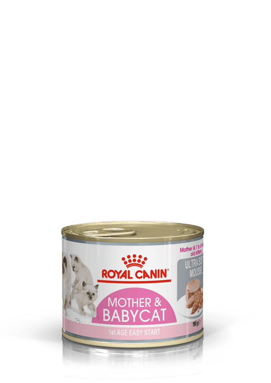 【Royal Canin】法國皇家貓糧 - 離乳貓及母貓營養主食罐頭195g - Pet Pet Plaza